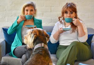 ¿Cómo presentar el nuevo cachorro a mi perro?