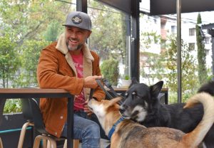 ¡Seis beneficios de adoptar un perrito!