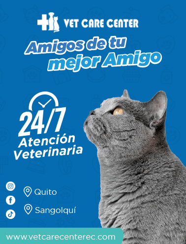 BANNER-Vet Care Center