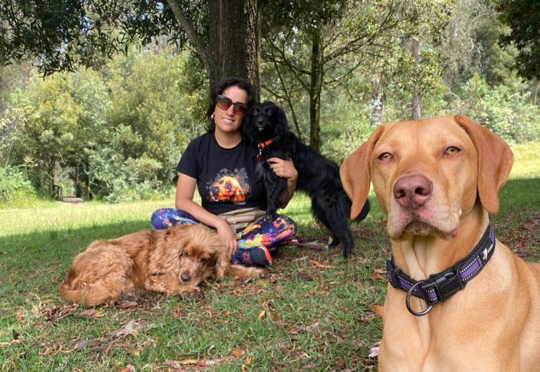 Lee más sobre el artículo Lo que nadie te dice sobre tener varios animales de compañía… y sus ventajas.