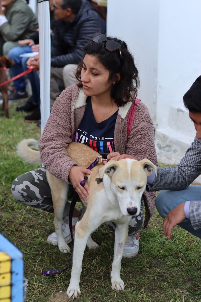 Mujer con mascota en campaña de rescate animal