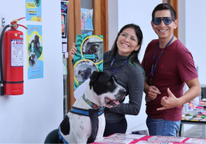 Cómo Apoyar al Rescate Animal: Una Guía de Lula Pet Clan