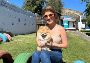 ¿Cómo saber que un lugar es apto para mi perro?